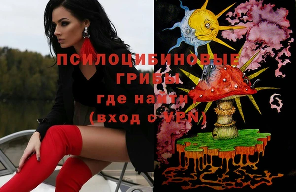 дживик Белокуриха
