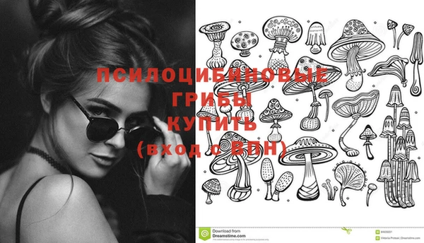 дживик Белокуриха