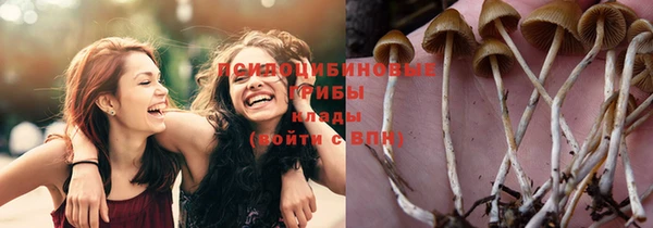 эйфоретик Беломорск