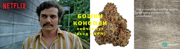 гидра Белоозёрский